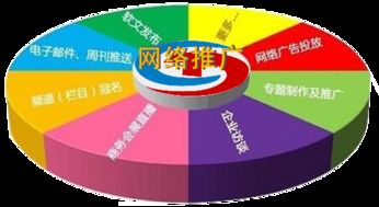 霸屏推廣軟件的開發(fā)與銷售 常州網(wǎng)絡(luò)推廣公司的營銷策略與技術(shù)實踐
